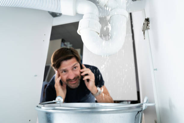 Best Plumbing Inspection Services  in Frederic, WI