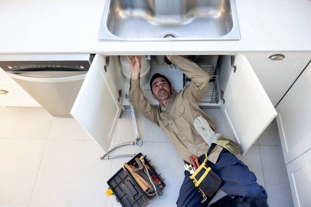 Best Clogged Drain Plumber  in Frederic, WI