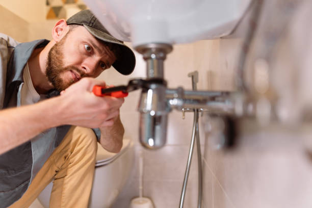 Best Toilet Repair Services  in Frederic, WI