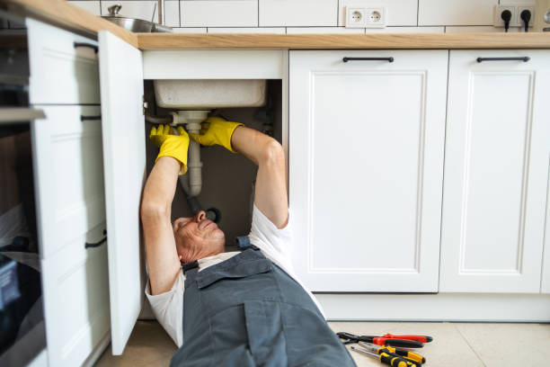 Best Residential Plumbing Services  in Frederic, WI